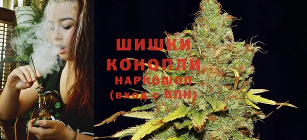 ГАЛЛЮЦИНОГЕННЫЕ ГРИБЫ Лиски