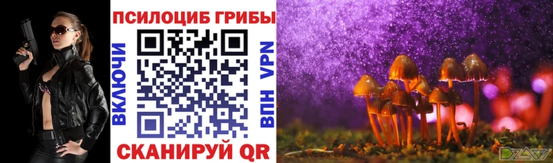 Галлюциногенные грибы мицелий  Купить  Гороховец 